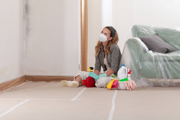 Reliable Mold Testing contractor in Lucama, NC by WQB Mold Removal
